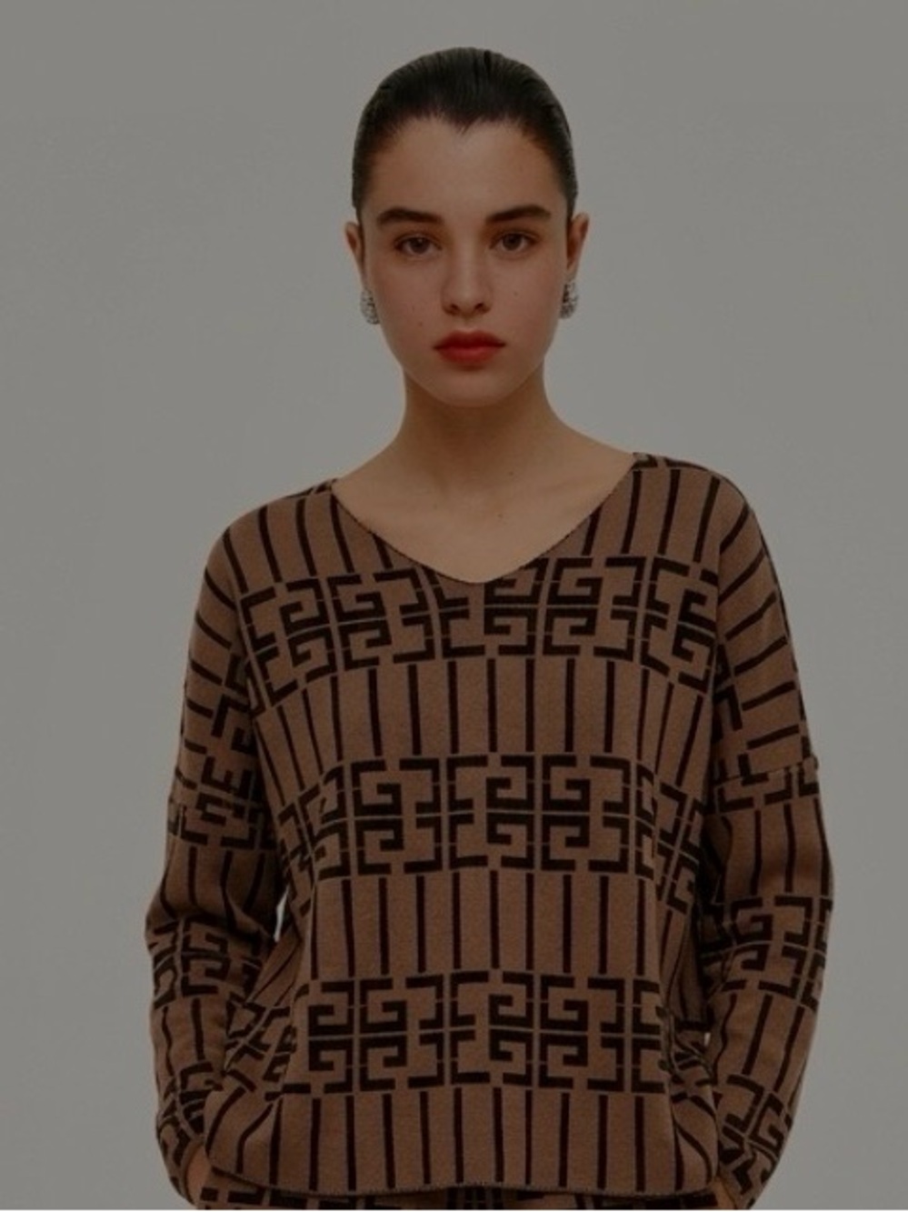 Brown Patterned V-Neck Sweater